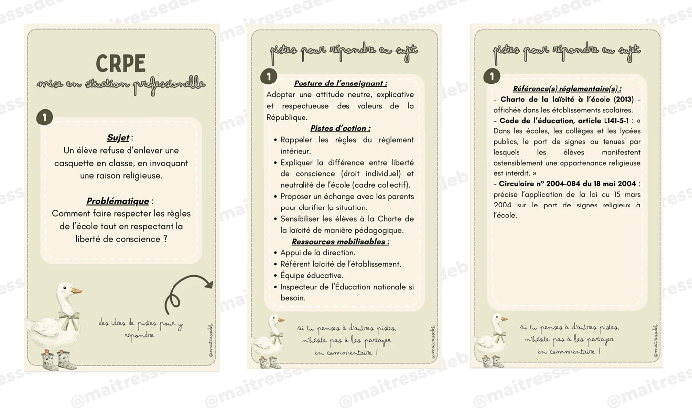 MSP CRPE Maitresse Deb Vignette 2