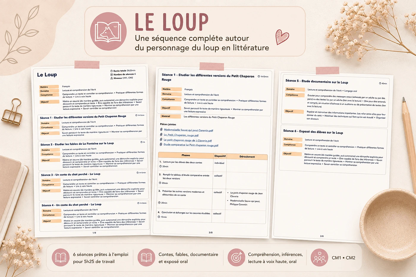 Aperçu Séquence le loup Madame Maitresse