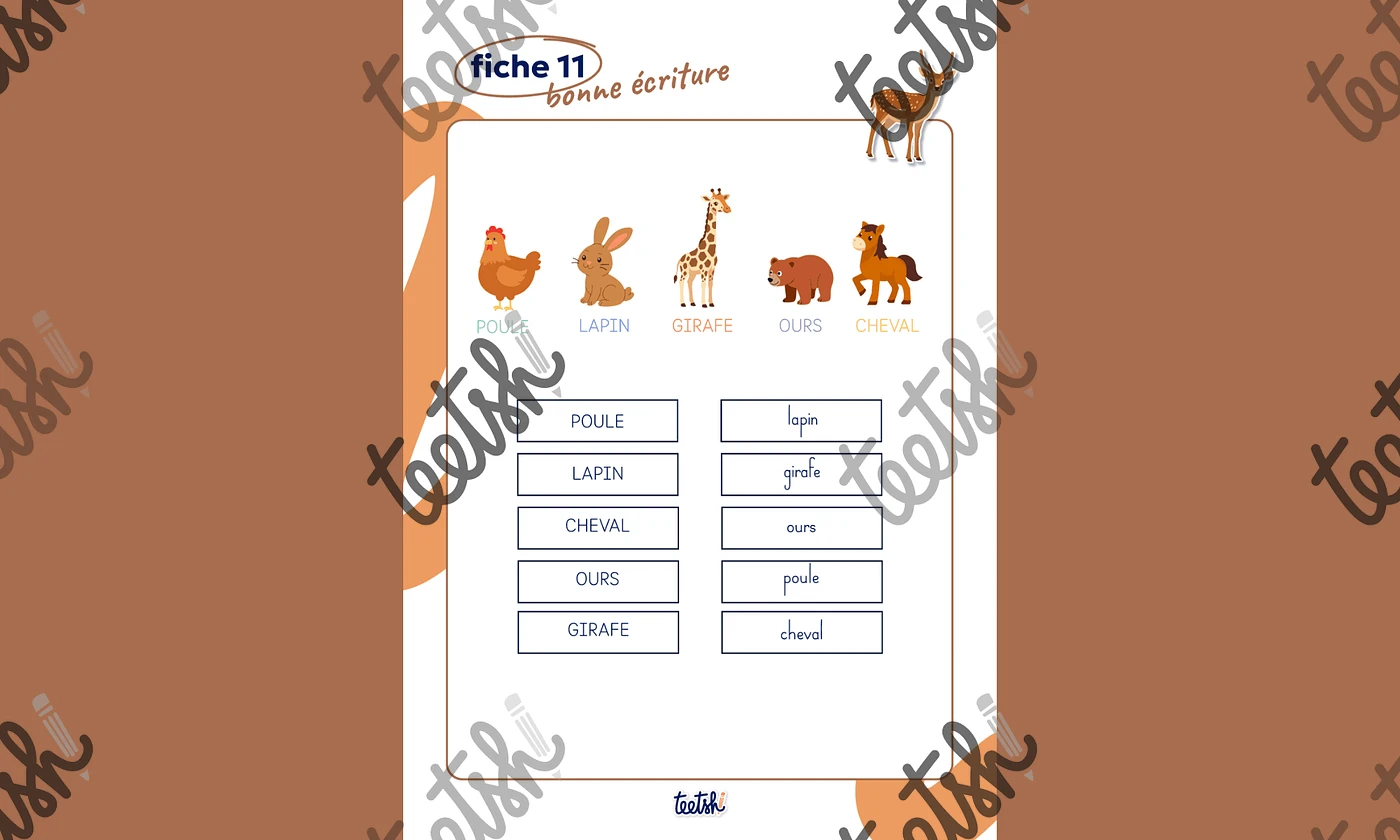 Cahier d'autonomie MS • Les animaux 🦒