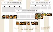 Aperçu cycle de la citrouille Maitresse Flo