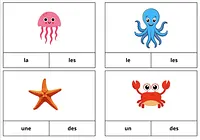 Cartes à pinces singulier pluriel Maitresses Déjantées vignette 2