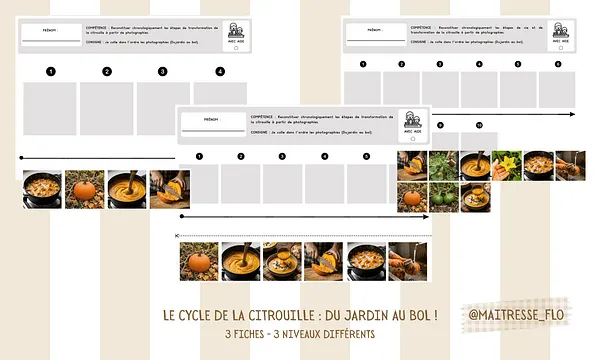 Aperçu cycle de la citrouille Maitresse Flo
